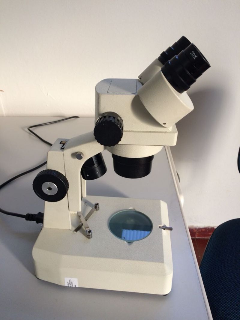 Secretaria de Saúde entrega Lupa-microscópio para Análise de larvas do mosquito transmissor da Dengue para Vigilância em Saúde.